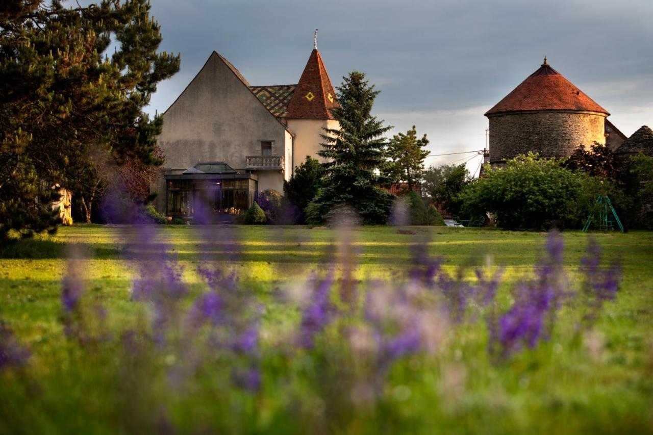 L'Hote Antique - Maison D'Hote- 4 Suites Avec Cuisine Pichanges Екстериор снимка